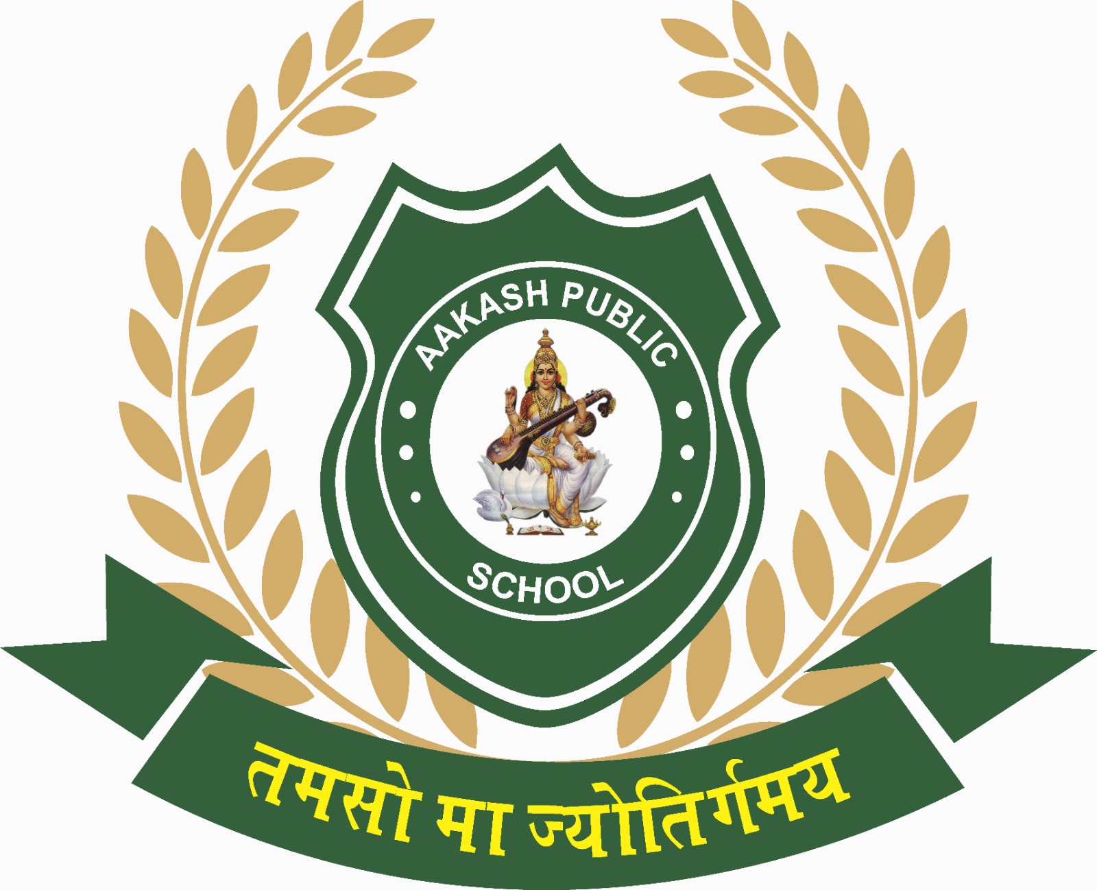 Aakash Public School